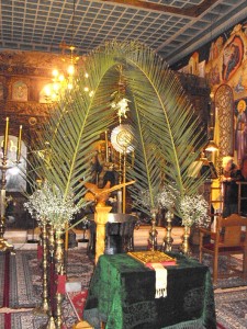 Άγιος Ιωάννης Θεολόγος, Θεοφάνια, 6 Ιανουαρίου 2012