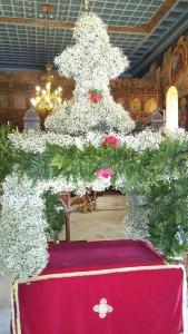 "Εν τη Κοιμήσει τον κόσμον ου κατέλιπες Θεοτόκε." (19 Αυγούστου 2017)